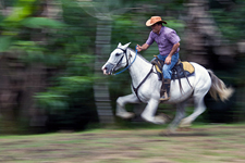 Costa Rica-Arenal-Arenal Volcano & Waterfall Horse Journeys